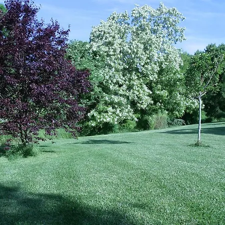 Au Bois Des Tilleuls